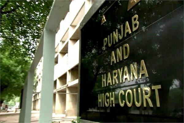 punjab government gets high court in beadbi cases