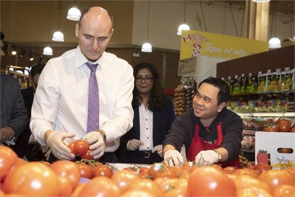 federal liberals announce upgraded benefits for children  workers  and housing