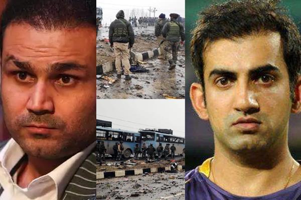 cricketer said in pulwama terror attack   now the matter is in the battleground