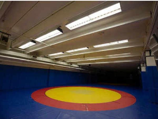 haryana  s clean sweep in junior national wrestling