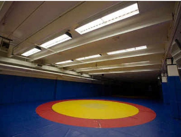 ਜੂਨੀਅਰ ਰਾਸ਼ਟਰੀ ਕੁਸ਼ਤੀ ''ਚ ਹਰਿਆਣਾ ਦੀ ਕਲੀਨ ਸਵੀਪ