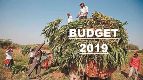 the   interim budget   farmers