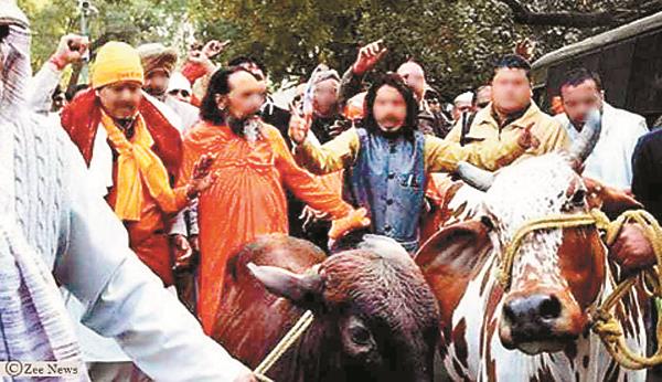 pakistan  s   holy cow   is a ban on bank interest