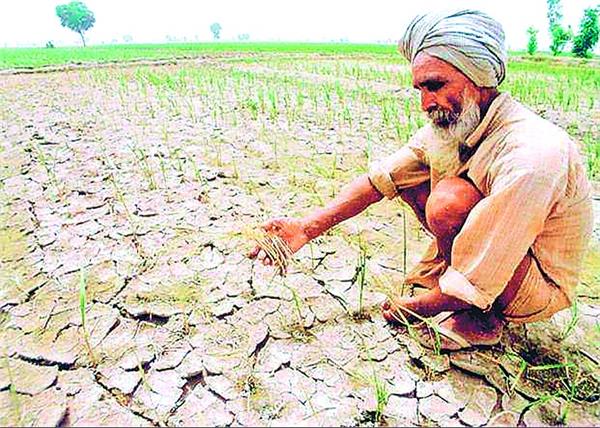 farmers  jalandhar  budget
