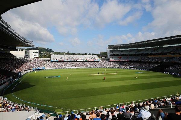 cricket player umpire repeatedly kicked in face after disputed decision