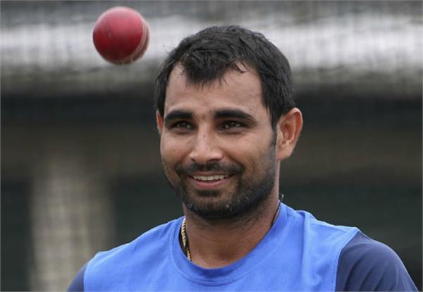 mohammed shami  world cup 2019