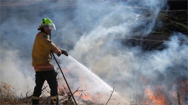thousands evacuated after new zealand wildfire