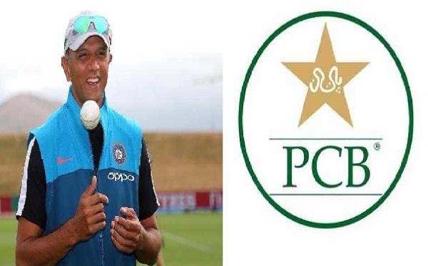 poor performance pcb adopt rahul dravid formula