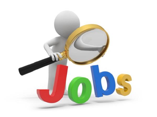 dsssb recruitment