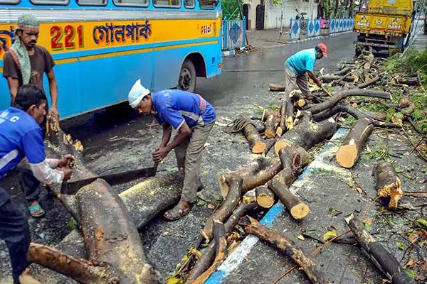 storm hits south bengal  several trees uprooted in kolkata