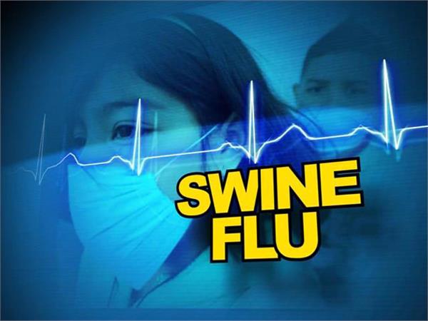 128 deaths due to swine flu in jaipur