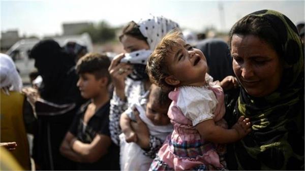 more than 900 refugees return to syria in 24 hours