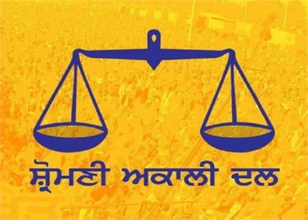 lok sabha elections  municipal corporation  sad