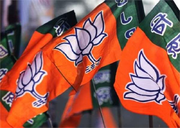 bjp 40 star campaigners list lok sabha elections