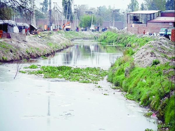 bhaini sahib  sanitation service  nigam  ludhiana