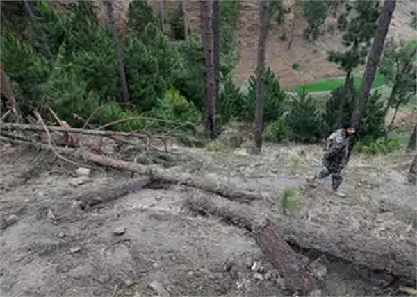 pakistan fir against indian pilots