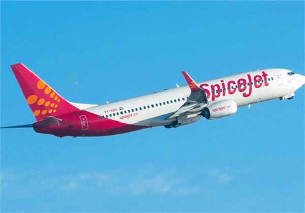 spicejets  ships  businessmen  happy