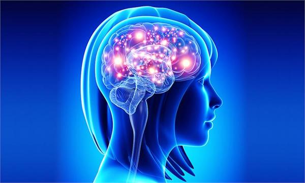with mind diet the risk of alzheimer s and parkinson s