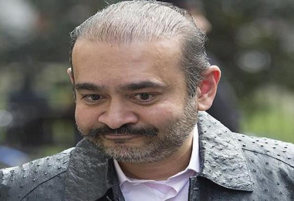 why rejected nirv modi  s second time bail petition