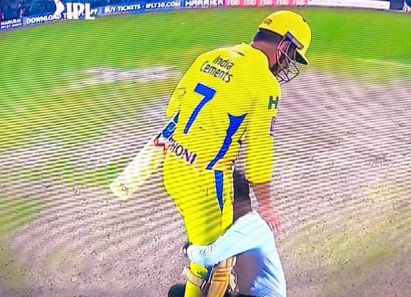 ipl 2019  mahendra singh dhoni