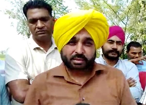 lok sabha elections 2019  bhagwant mann  sukhpal khaira