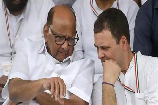 ncp to contest all 26 lok sabha seats in gujarat