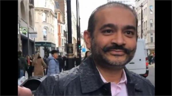 uk court refuses neerav modi bail