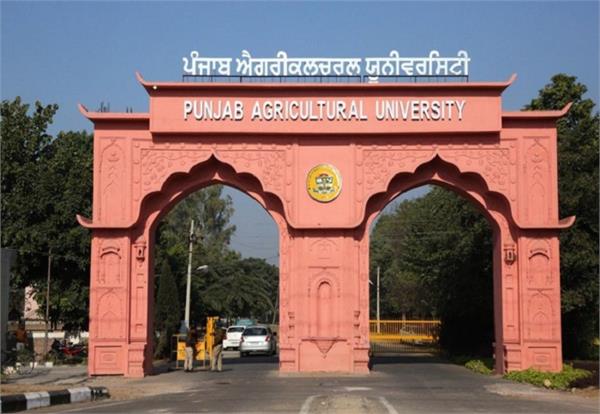 engineers working pau trained camps