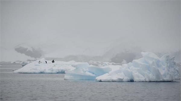 china to make laws to protect antarctica