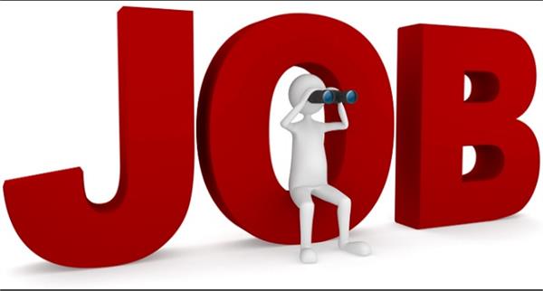 bsf recruitment