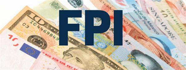 fpi net investment