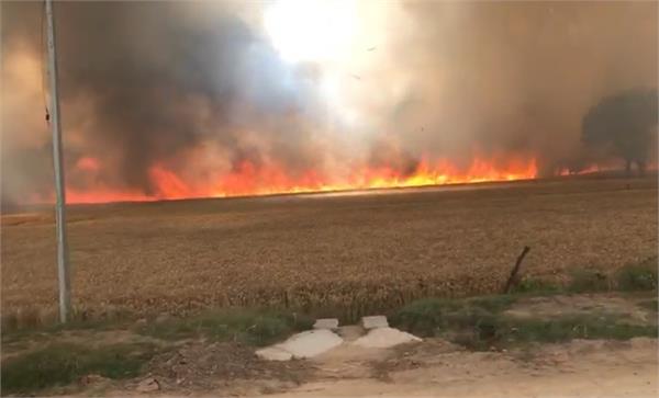 moga wheat crop fire