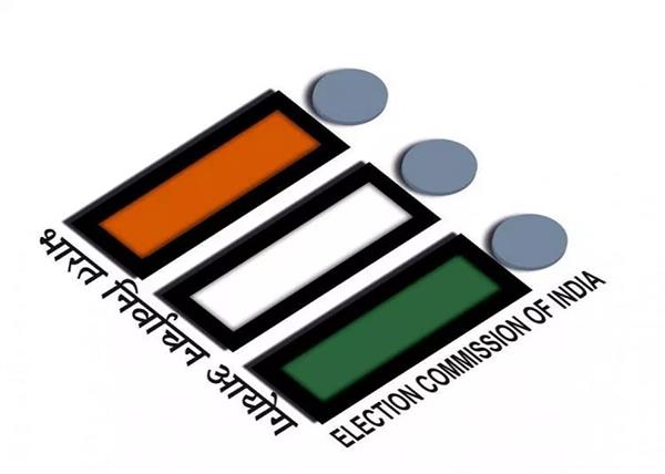 election commission electoral expenditure 493 candidates