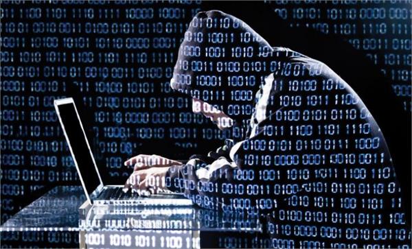 indian person will be deported for hacking website