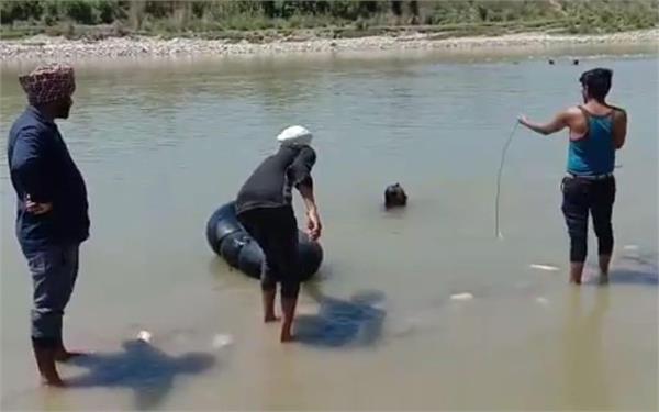young  river