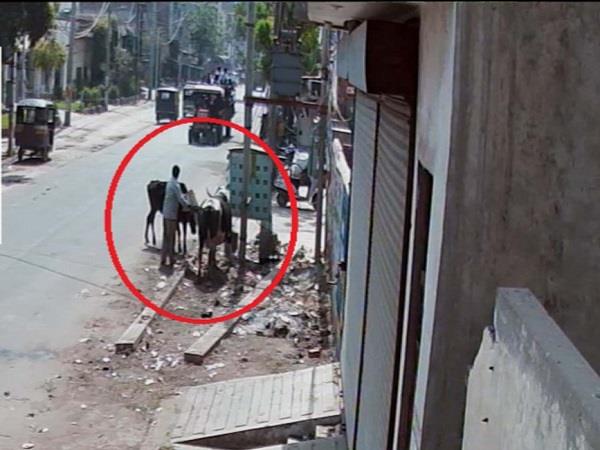 cleanliness campaign  garbage  fruit vendor 