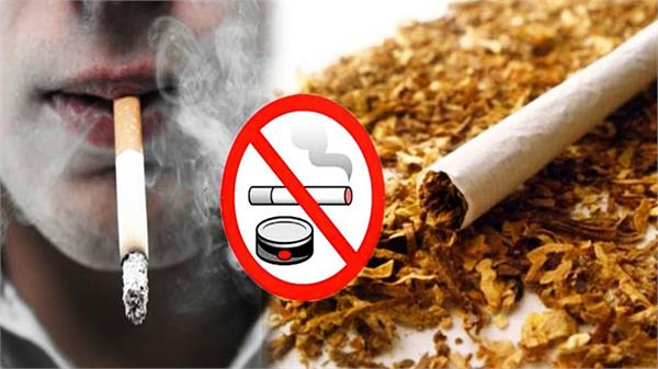 tobacco deaths in 5 million cancer cases in a year 