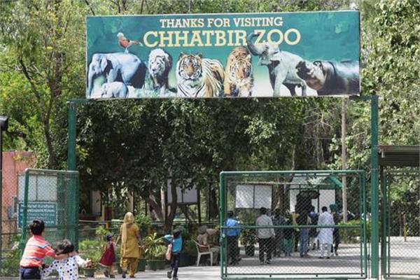 chattbir zoo