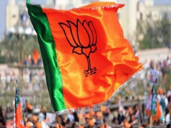 exit polls bjp celebrations may 23