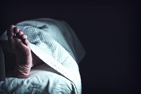 snake gujarat death person