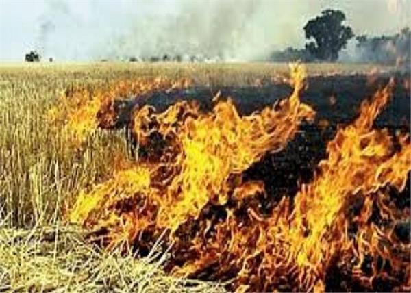 patiala parali fire