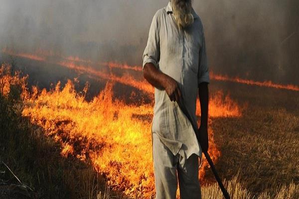 stubble burning in punjab