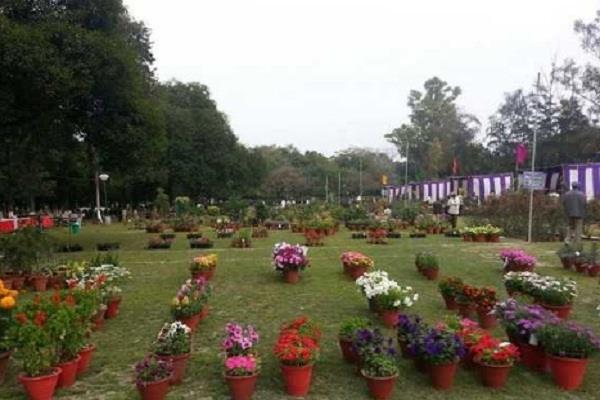 minni rose garden