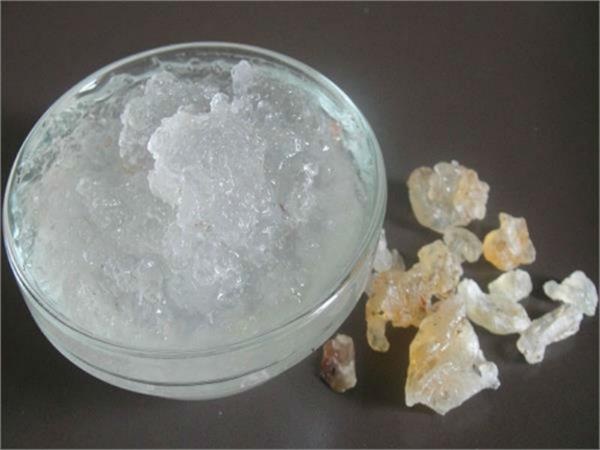 ਗੂੰਦ ਕਤੀਰਾ ਖਾਣ ਦੇ ਇਹ ਬੇਮਿਸਾਲ ਫਾਇਦੇ ਜਾਣ ਕੇ ਹੋ ਜਾਓਗੇ ਹੈਰਾਨ