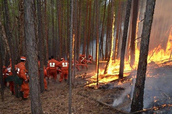 china  1 000 firefighters  wild fire