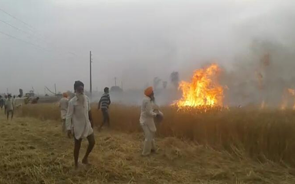 ਬਿਜਲੀ ਸਪਾਰਕ ਨਾਲ ਕਿਸਾਨਾਂ ਦੀ ਕਣਕ ਸੜ ਕੇ ਸੁਆਹ