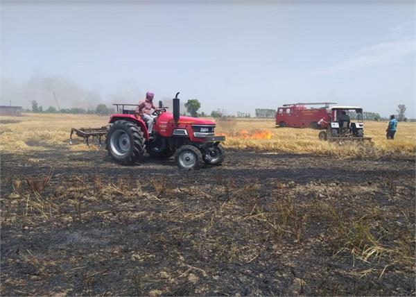 fire  wheat  tanda urmar