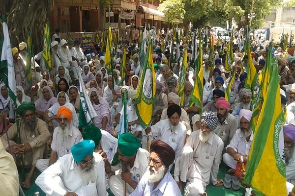 barnala  7 farmers organizations  district headquarters  dharna