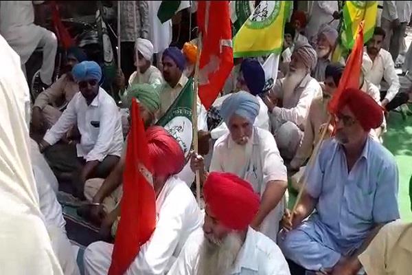 farmer organizations protest