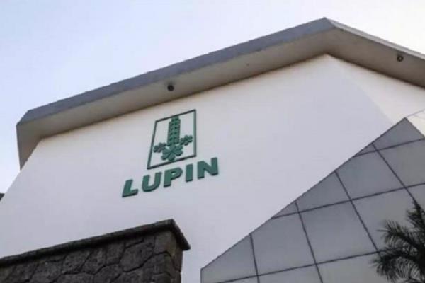 lupin  s profit was two and a half times the profit